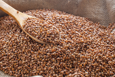 Similar image 21170172