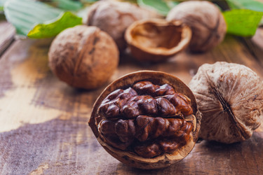 Similar image 21168562