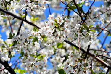 Similar image 21180515