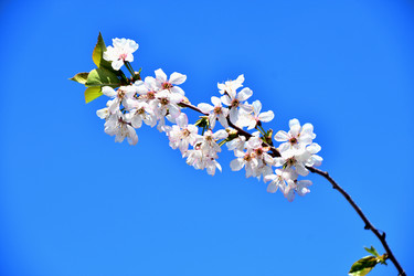 Similar image 21180517