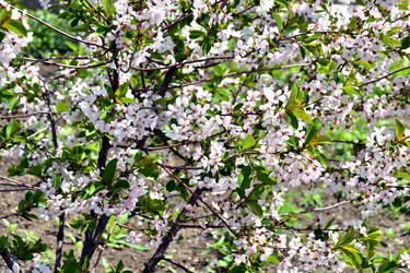 Similar image 21180518