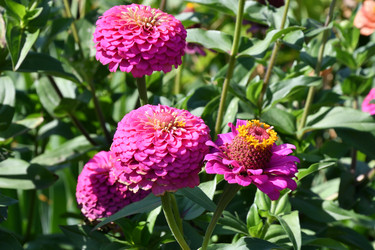 Similar image 21180519