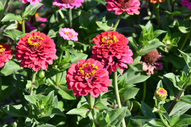 Similar image 21180520