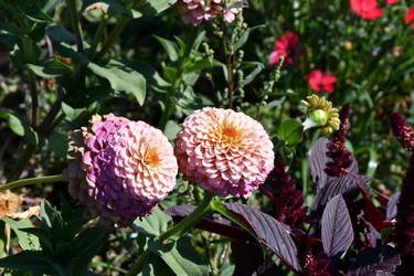 Similar image 21180521