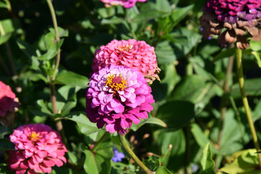 Similar image 21180522