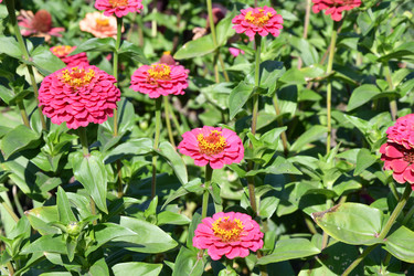 Similar image 21180523