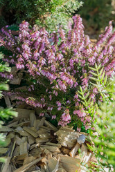 Similar image 21185014