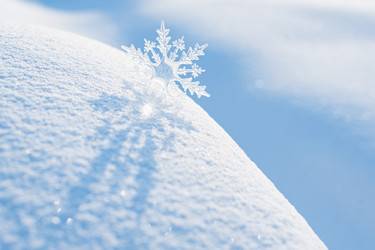 Similar image 21198949