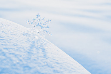 Similar image 21198952