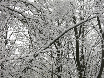 Similar image 21172692