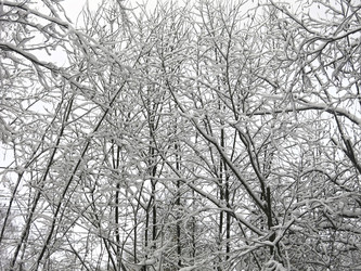 Similar image 21172693