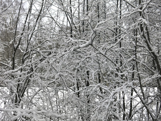 Similar image 21172695