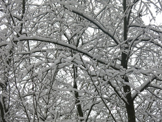 Similar image 21172696