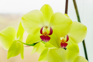 Similar image 21194441