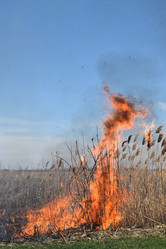 Similar image 21191702