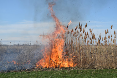 Similar image 21191703