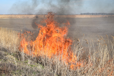 Similar image 21191704