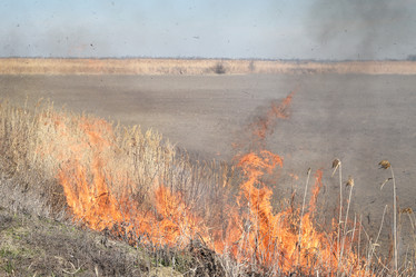 Similar image 21191708