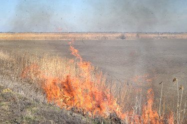 Similar image 21191709