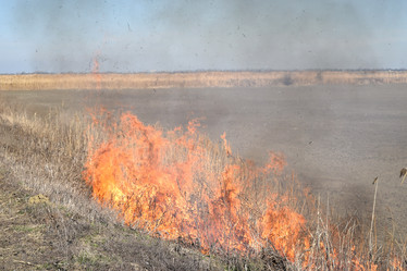 Similar image 21191711