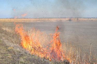 Similar image 21191712