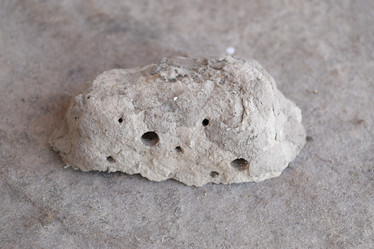 Similar image 21191714