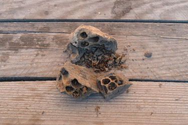 Similar image 21191716