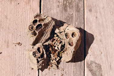 Similar image 21191717