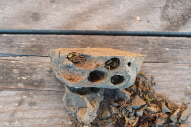 Similar image 21191718