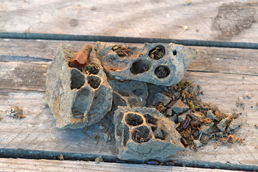 Similar image 21191720