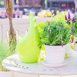 Similar image 21181642