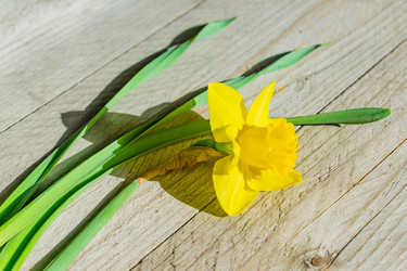 Similar image 21194445