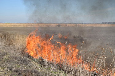 Similar image 21191729