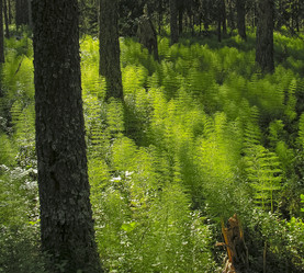 Similar image 21171645