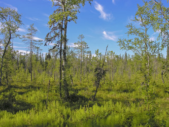 Similar image 21171646