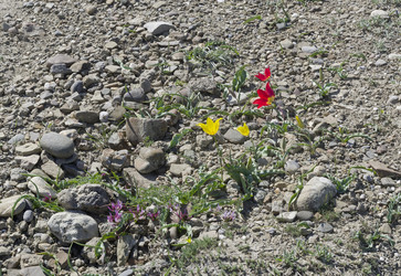 Similar image 21171651