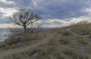 Similar image 21171655