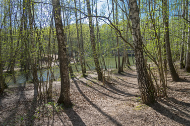 Similar image 21171662