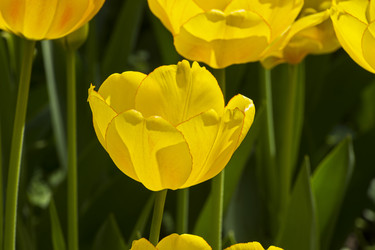 Similar image 21171663