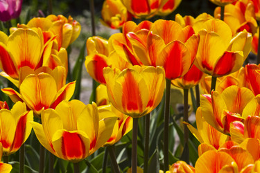 Similar image 21171664