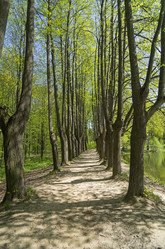 Similar image 21171667