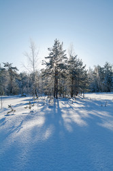 Similar image 21171669