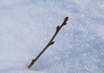 Similar image 21171670