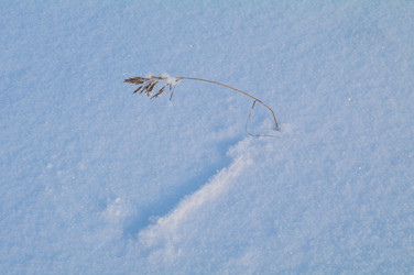 Similar image 21171671