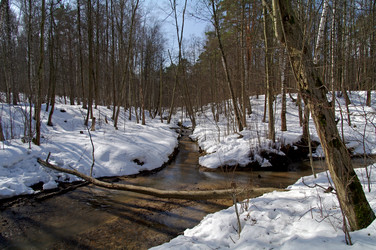 Similar image 21171672