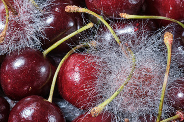 Similar image 21172773