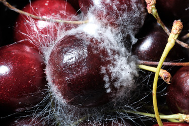 Similar image 21170954