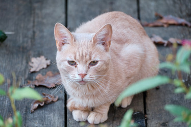 Similar image 21172779