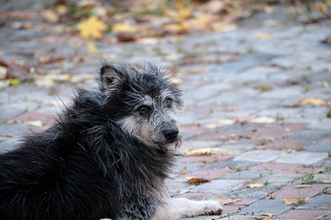 Similar image 21170965