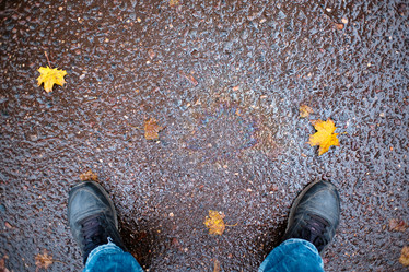 Similar image 21170966